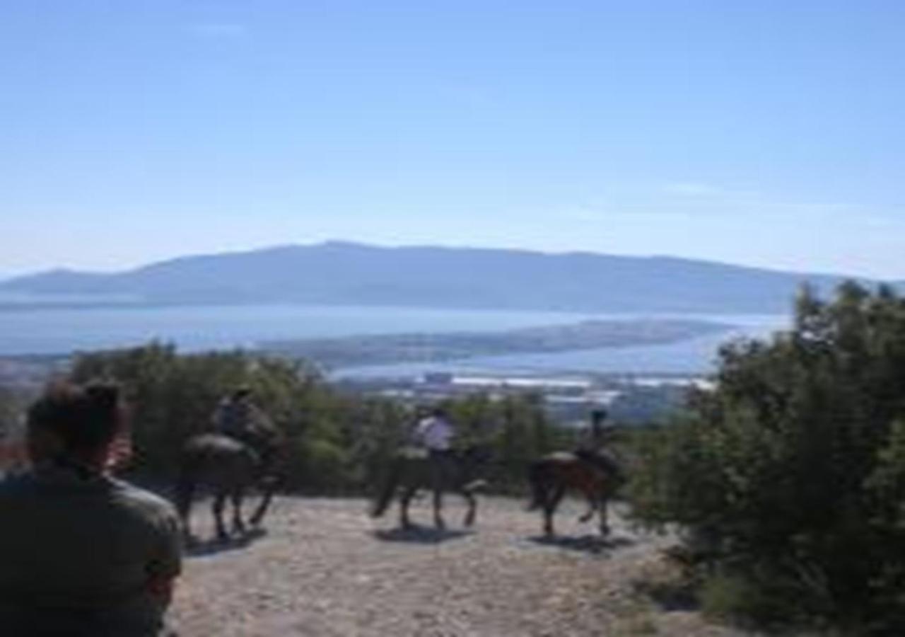 App - Il Fenicottero Con Parcheggio Gratuito Ad Orbetello Villa Eksteriør bilde