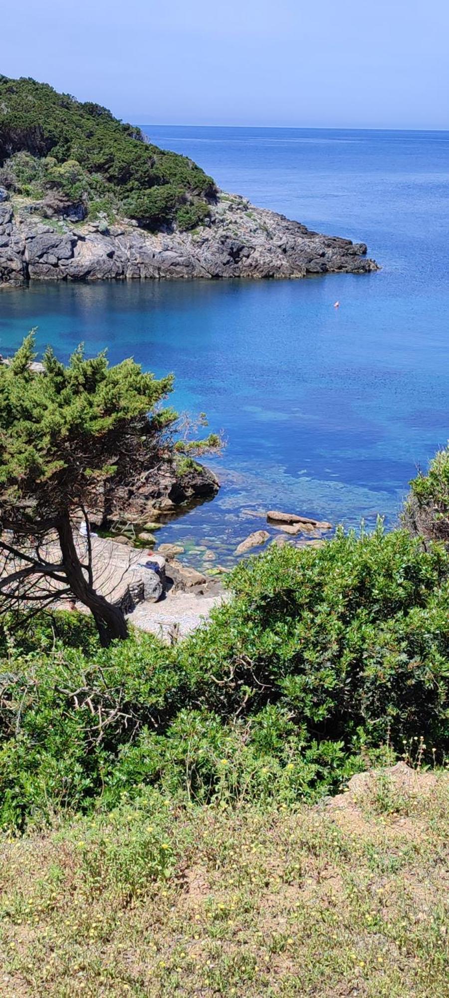 App - Il Fenicottero Con Parcheggio Gratuito Ad Orbetello Villa Eksteriør bilde